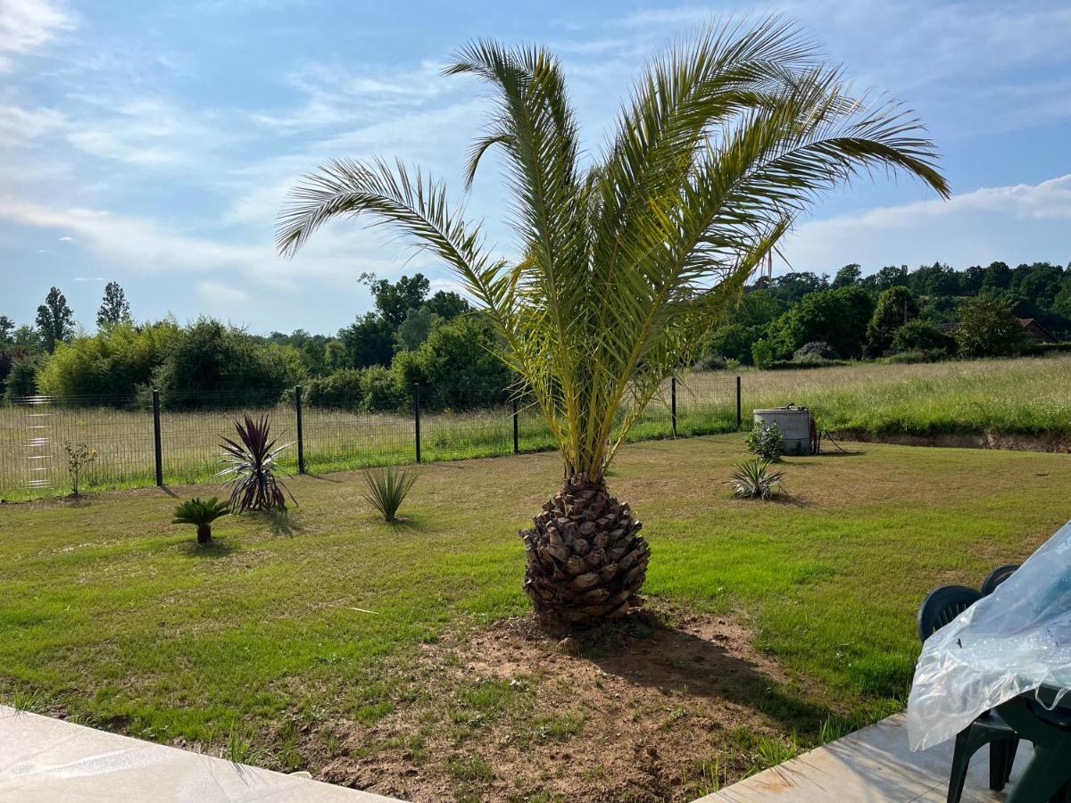 Chambre Double -Vue Sur Jardin Bergerac Bagian luar foto